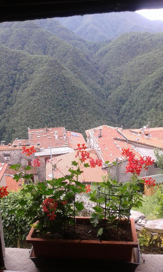 Casa Poggio Delle Farfalle Stazzema 外观 照片
